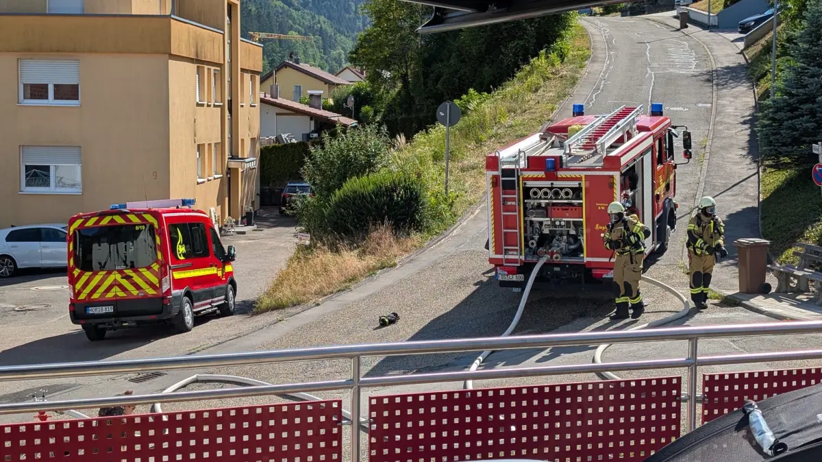 Flächenbrand Dettingen