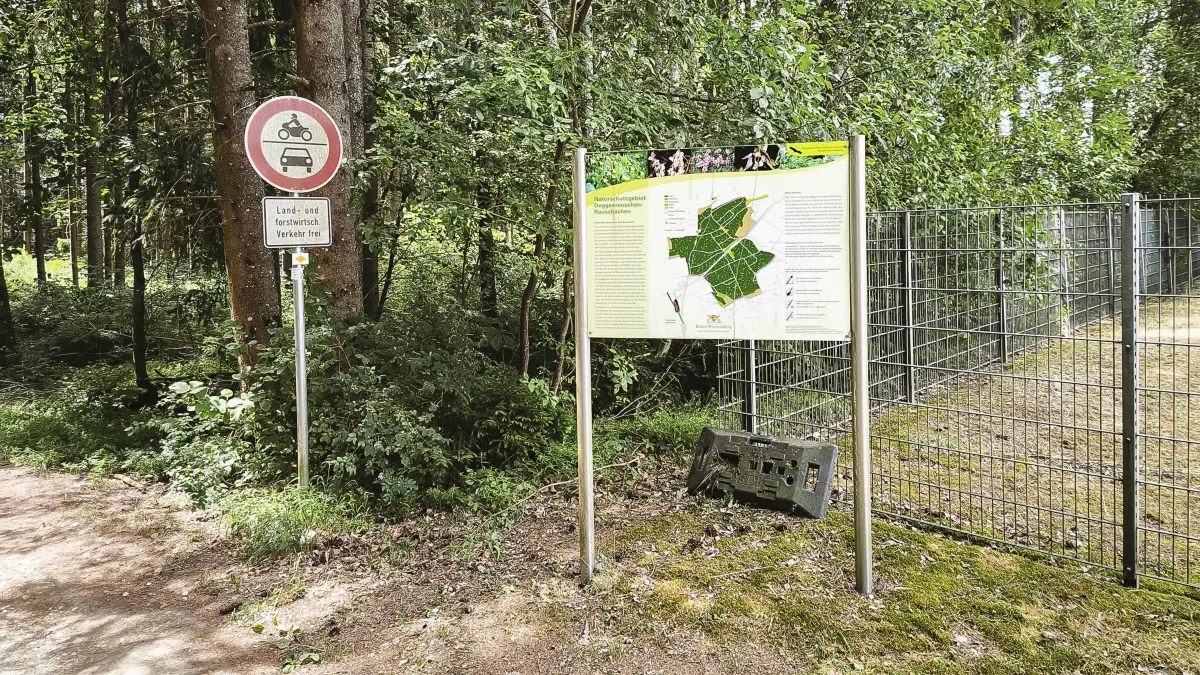 Ob dereinst ein interkommunal ausgebildeter Forstwirt das Hüfinger Naturschutzgebiet Deggenreuschen-Rauschachen betreut, steht noch in den Sternen.