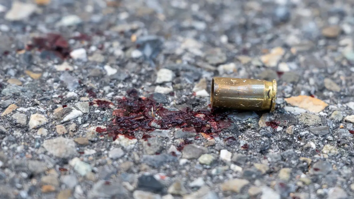 Mehrere Festnahmen nach eskaliertem Streit in Altensteig