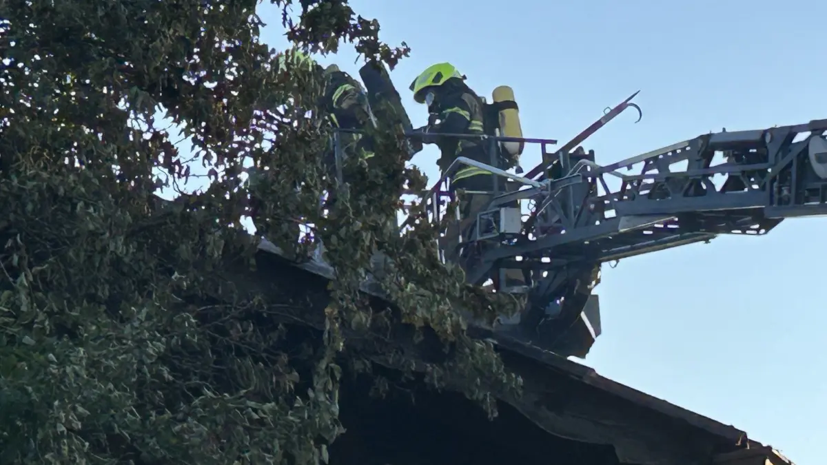 Brand auf einem landwirtschaftlichem Anwesen in Obermusbach