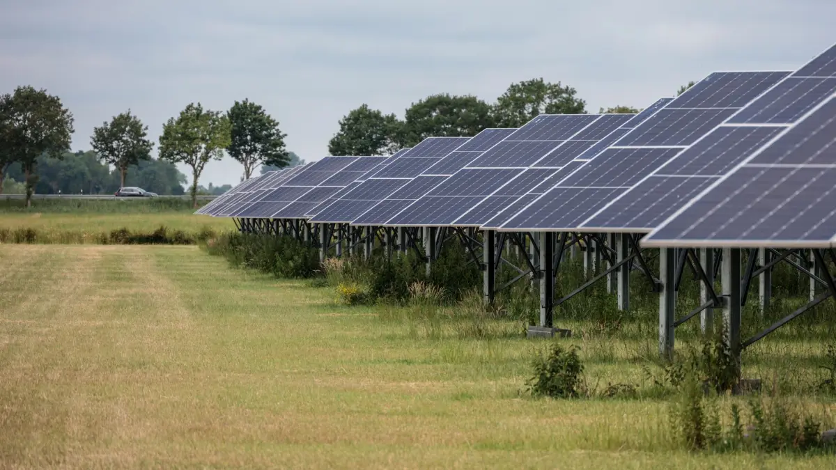 Elektromobilität in Bremen und Niedersachsen: PRODUKTION - 29.06.2026, Niedersachsen, Lemwerder: Ein Agri-PV-Park (Photovoltaik) steht in Lemwerder an der Weser. Immer mehr Verbraucher, Behörden und Unternehmen setzen in Niedersachsen und Bremen auf Elektromobilität. (zu dpa: «E-Trends: Vom Gefangenenwagen bis zum Stallroboter») Foto: Focke Strangmann/dpa +++ dpa-Bildfunk +++