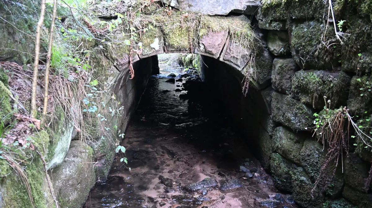 Brücke im Heubachtal