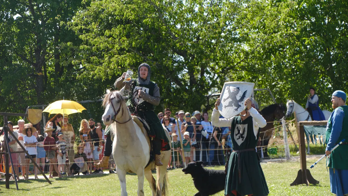 Ritterspiele Wiesenstetten