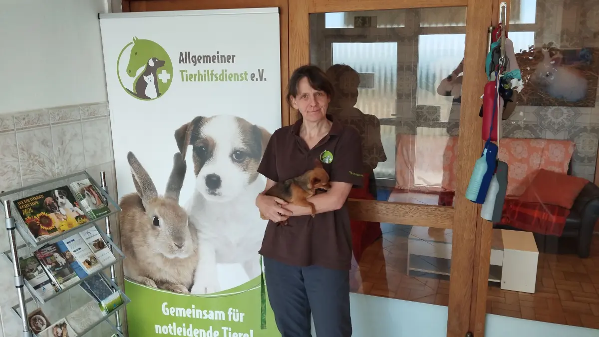 Die Tempoeraturen stellen eine Herausforderung für Mensch und Tier.