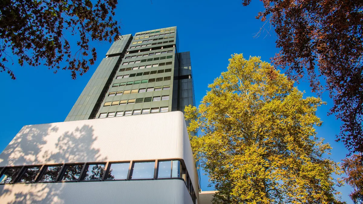 Das Lörracher Rathaus hat über einen Schädlingsbefall in der Anschlussunterbringung Gretherstraße informiert.