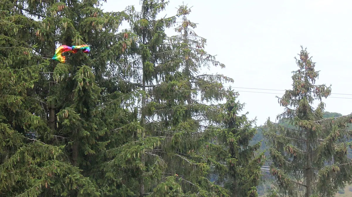 Ballon Gleitschirmflieger Burladingen Fehlalarm