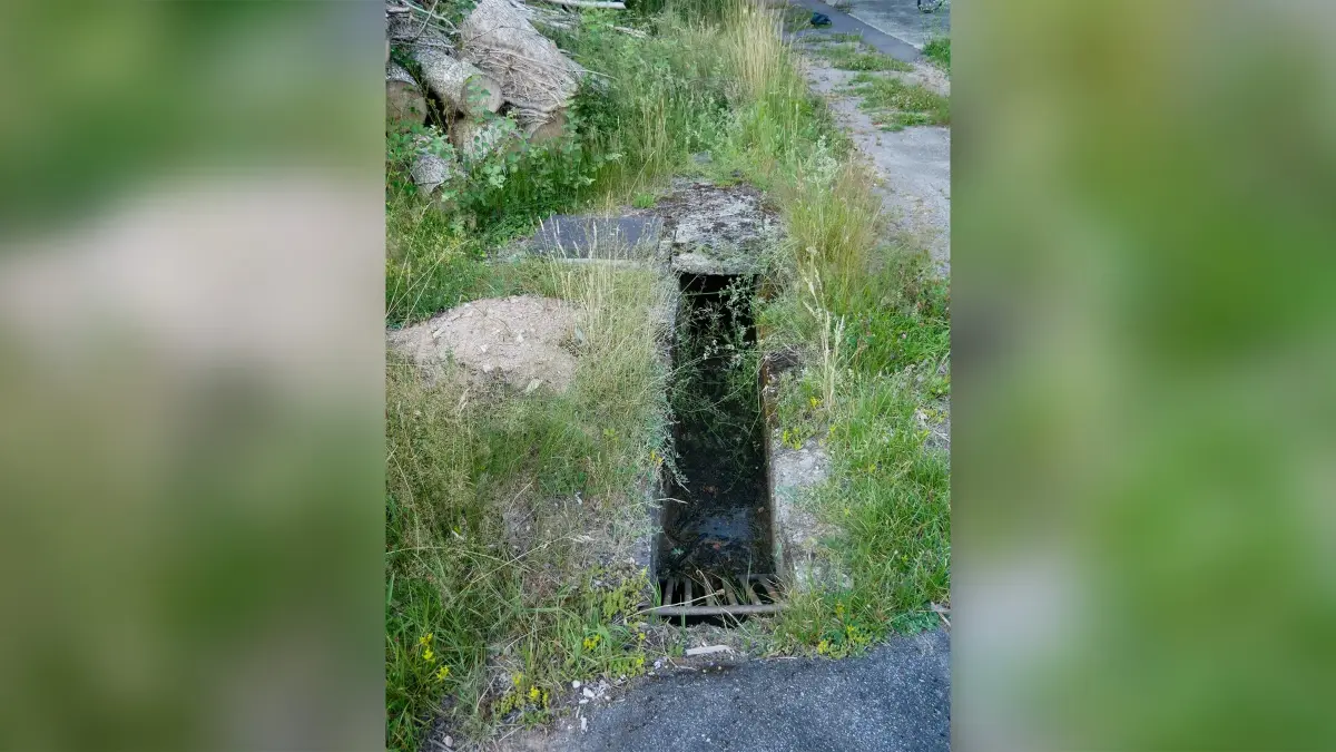 Der unscheinbare Bachlauf an der Blattenhäuserwiese hat im verdohlten Untergrund nach einem Starkregen starke Schäden verursach
