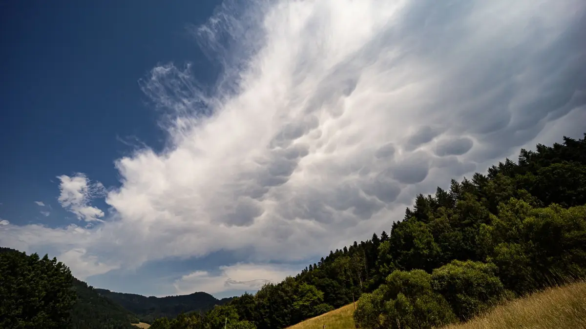 Trotz großer Hitze waren Gewitter im Kinzigtal wenig aktiv und lösten sich wie hier in der Aufnahme dokumentiert auf ohne Regen gebracht zu haben.