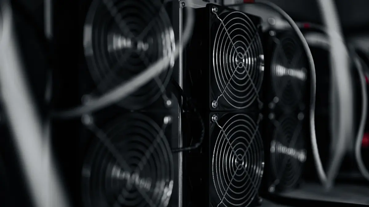 Ganz nah am Hochleistungs-Miner: In Rottweil haben Interessierte die Möglichkeit, die Hardware, die sonst in der Wüste der VAE arbeitet, aus nächster Nähe zu bestaunen.