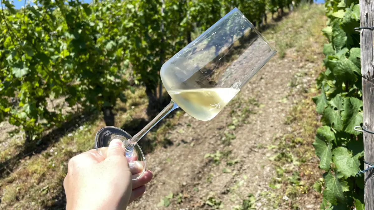 Weinglas mit Weißwein vor Weinberg über Oberwesel am Mittelrhein am 19.06.2026