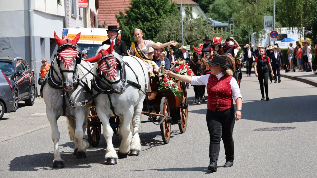 Umzug Schäferlauf Wildberg