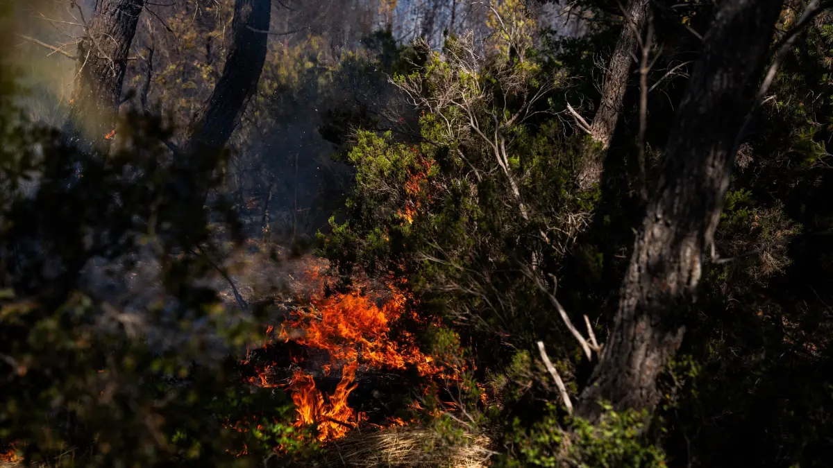 Waldbrände wüten in Katalonien: GAVÀ, SPAIN - JULY 8. A fire in Gavà has burned 7 hectares of vegetation between Can Tries and the Serra de Ferreres. The fire occurred on the day Barcelona reached its all-time record temperature, with 40.7 degrees Celsius recorded at the Fabra Observatory. Photo by Marc Asensio Clupés / JNA Press (Photo by Marc Asensio Clupés/JNA Press via Nexpher Images/Sipa USA)