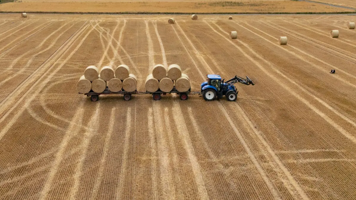 Erntesaison in Hessen: 07.07.2026, Hessen, Wehrheim: Strohrollen transportiert ein Landwirt auf einem Anhänger-Gespann von seinem Feld im Taunus (Luftaufnahme mit einer Drohne)
Das Stroh wurde zu runden Ballen gepresst. (zu dpa: «Machen Hitze und Trockenheit dem Weizenland Hessen Probleme?») Foto: Boris Roessler/dpa +++ dpa-Bildfunk +++