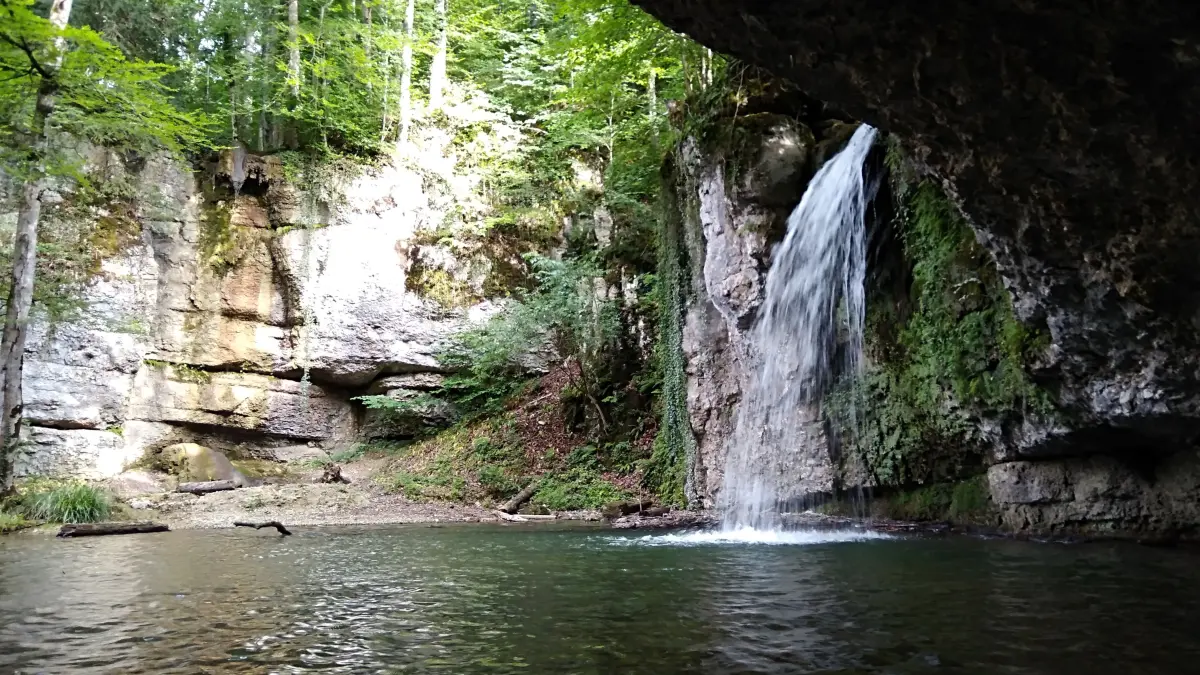 Unter anderem der Eibach - hier der Kilchberger Gießen - ist wegen trockenheitsbedingter, geringer Wasserführung abgefischt worden.