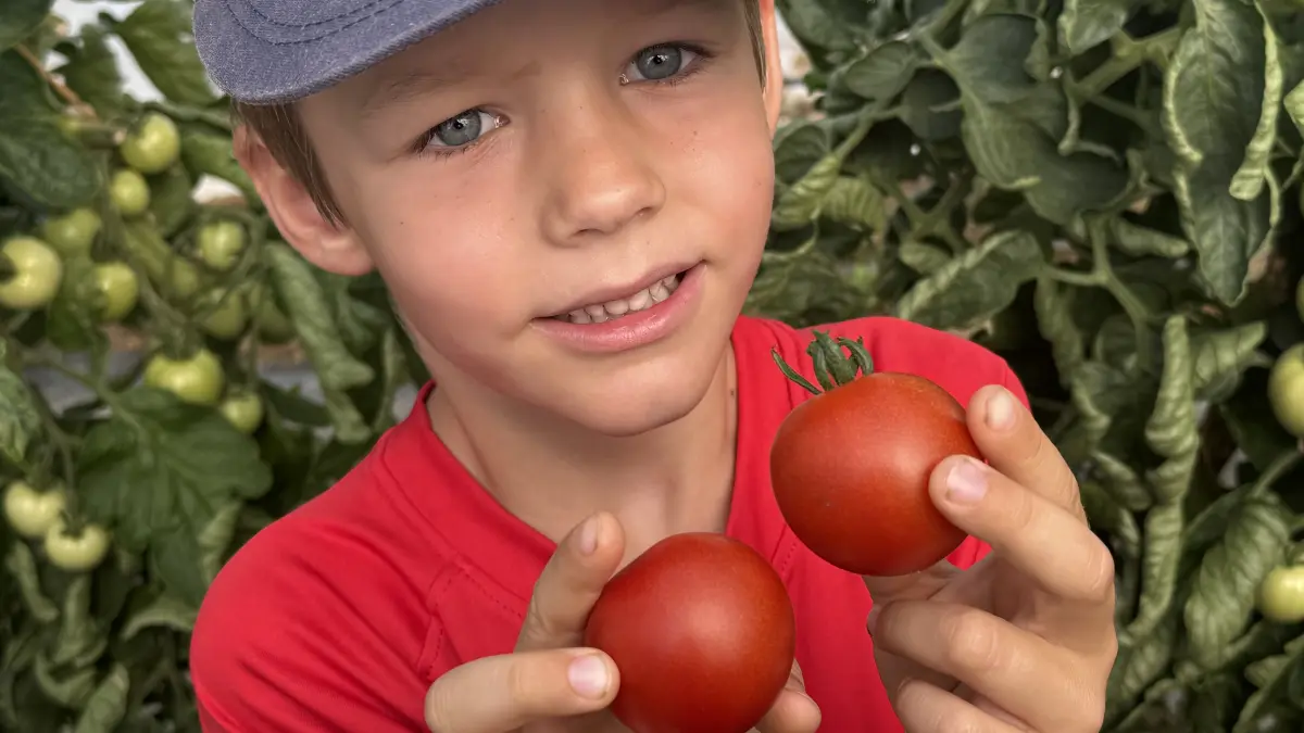 Wo Tomaten am besten wachsen können, erfahren Schulanfänger bei einem Projekttag auf dem Bürginhof in Binzen.
