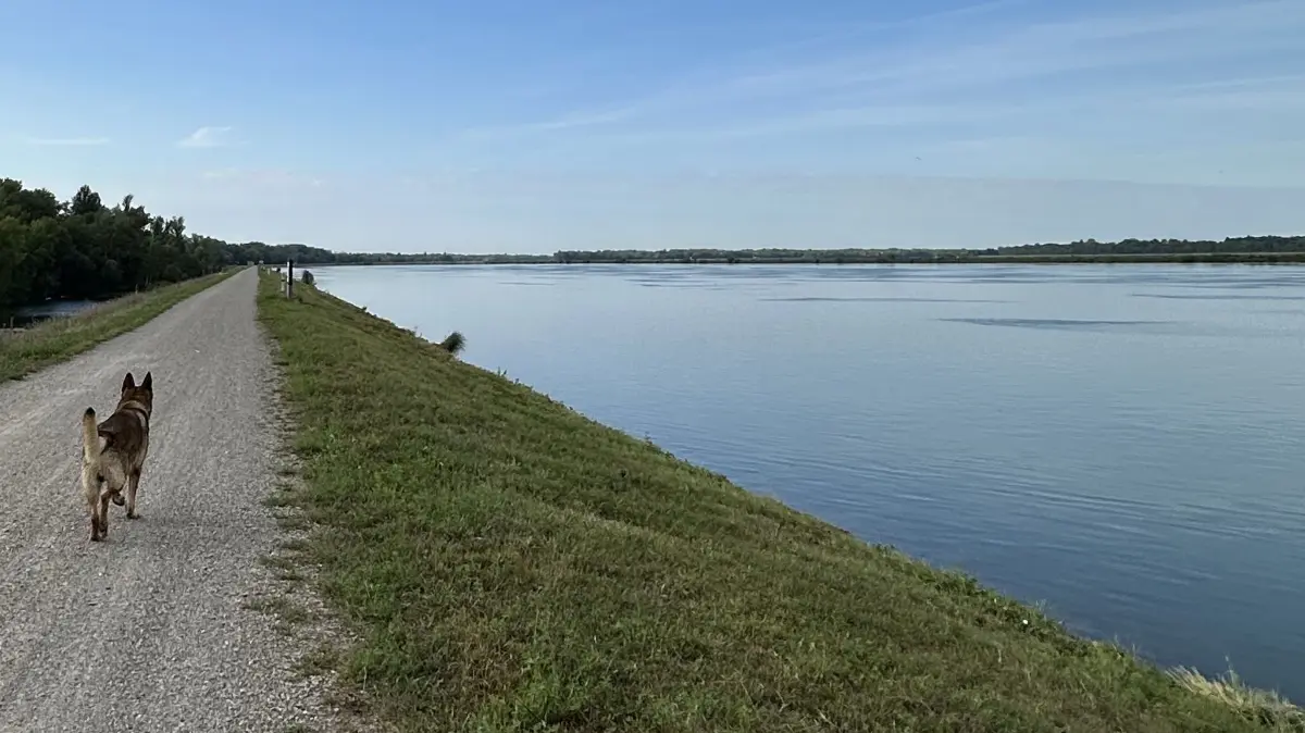 Könnte ein Seeufer sein, ist aber der Rhein bei Altenheim: Die Wasserschutzpolizei und die DLRG warnen vor den Tücken großer Fließgewässer, diese eigneten sich nicht zum Baden.