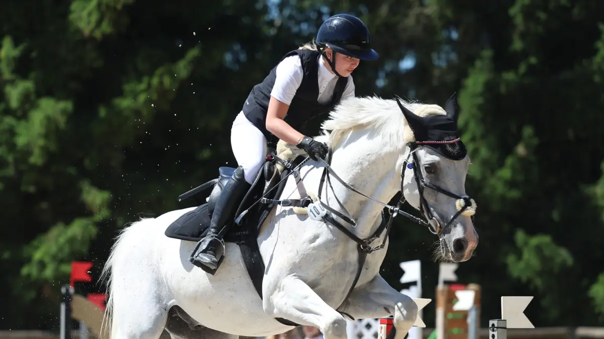 Reiten