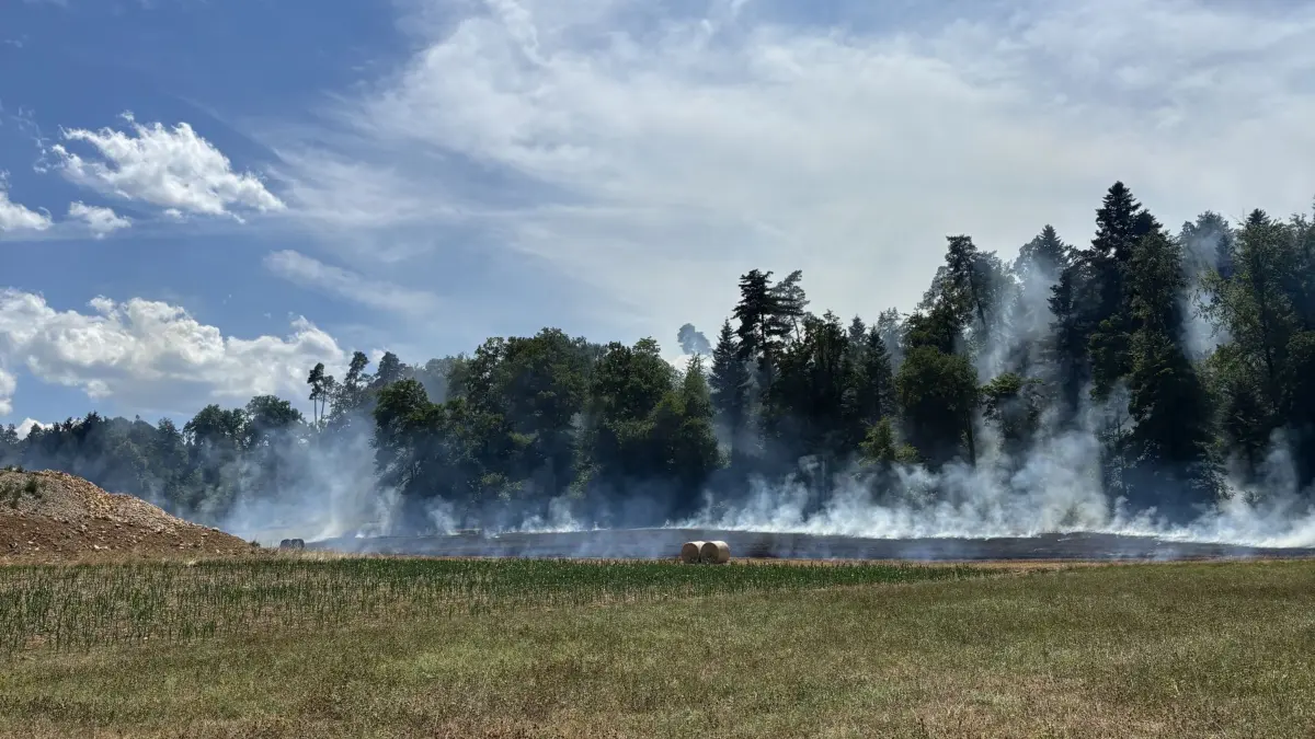 Das angrenzende Feld und auch die Waldböschung gerieten in Brand.