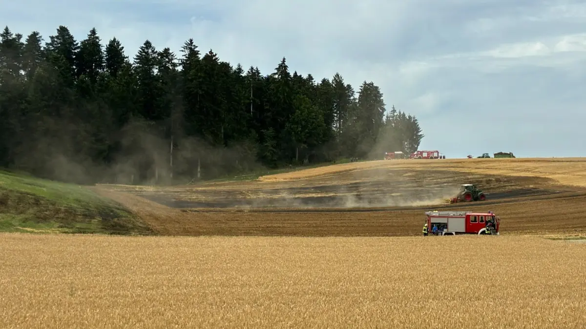 Die Feuerwehr rückte zu einem Vegetationsbrand aus.