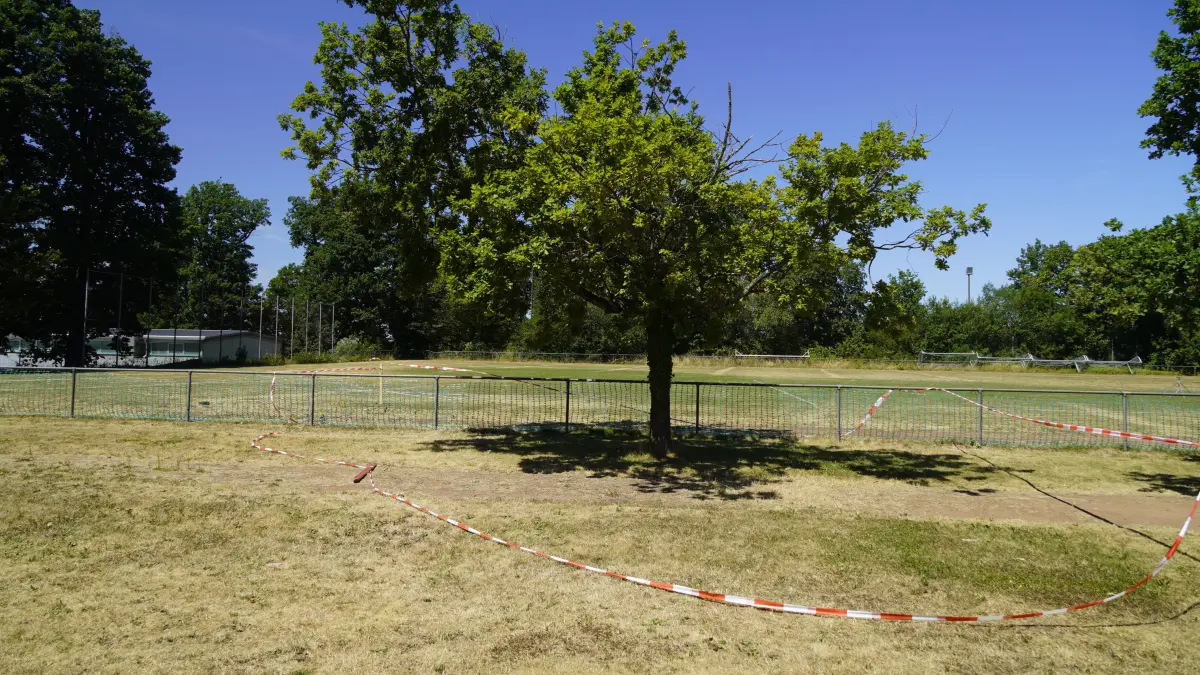 Ein Baum auf dem Waldrennacher Sportplatz ist seit Mitte Juni abgesperrt.