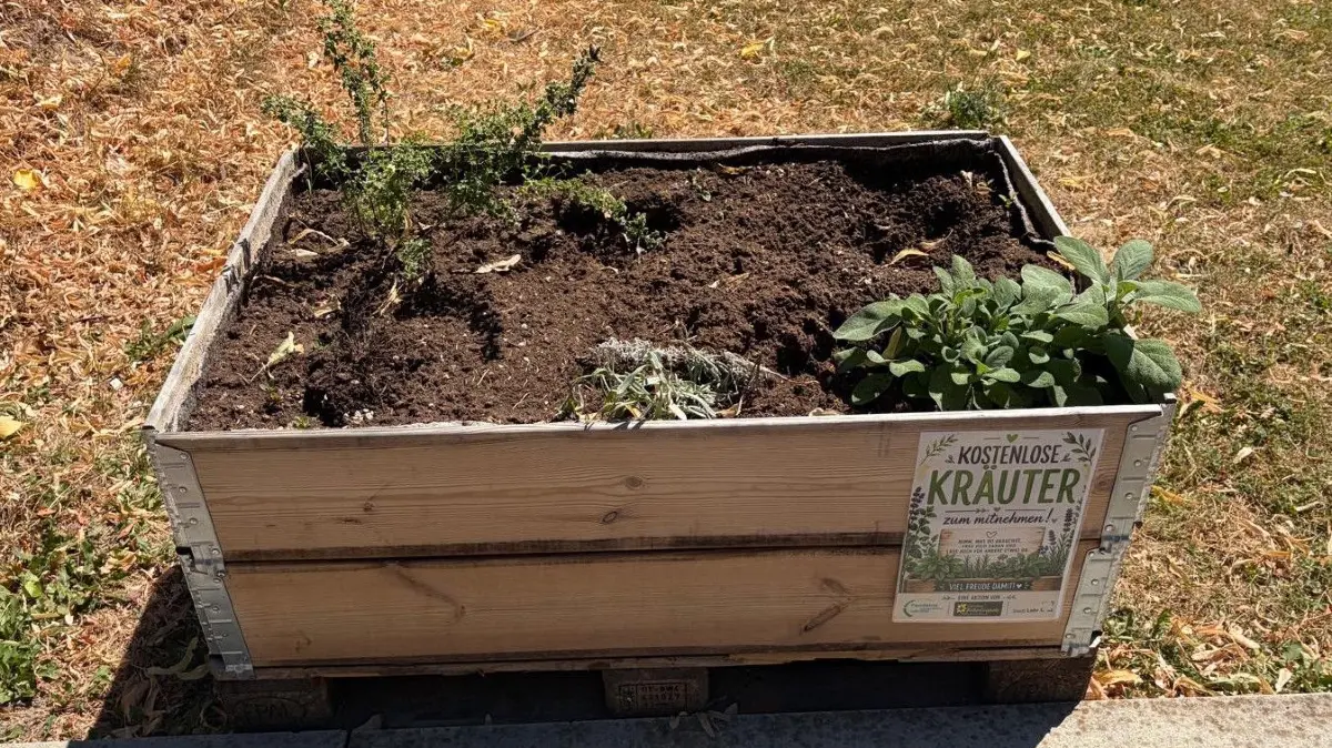 Die Pflanzkübel mit kostenlosen Küchenkräutern zum Mitnehmen waren nach nur einer Woche weitgehend geleert.