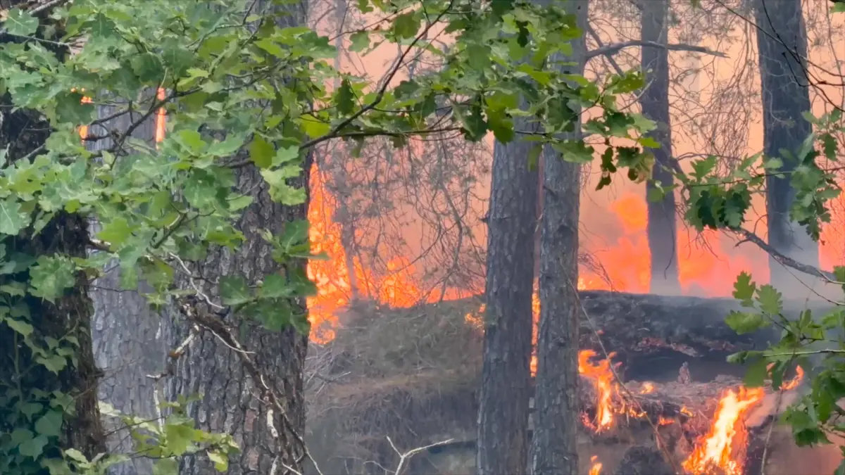 Firefighters Battle Ongoing Exceptional Wildfire In Fontainebleau Forest - Le Vaudoue: Firefighters Battle Ongoing Exceptional Wildfire In Fontainebleau Forest - Le Vaudoue Firefighters continue to battle an exceptionally large and ongoing wildfire in the Fontainebleau Forest in the area surrounding Le Vaudoue, Seine-et-Marne, France on July 13, 2026, causing significant damage as more than 370 firefighters and 130 vehicles from the SDIS77 fire service remain mobilized to contain multiple blazes described as very virulent, with two DASH water-bombing aircraft dispatched as reinforcements from southern France and several road diversions put in place on the A6 motorway. Videograbs by CLPress/ABACAPRESS.COM Le Vaudoue France PUBLICATIONxNOTxINxFRAxUK Copyright: xCLPRESS/ABACAxWorldxRightsxOfficialx