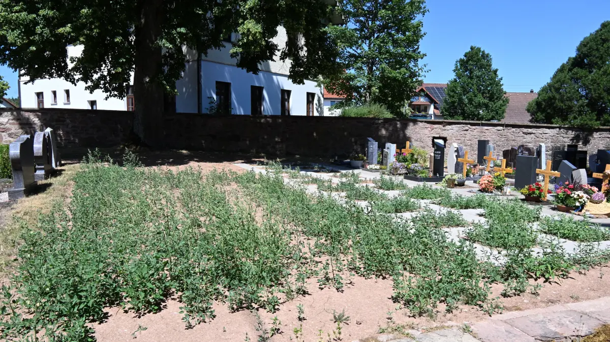 Auf dem Friedhof Mariazell sollen mittelfristig weitere 20 Grabfelder für eine Bestattung im Urnenwahlgrab geschaffen werden.