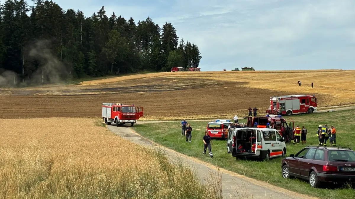 Die Feuerwehr rückte zu einem Vegetationsbrand aus.