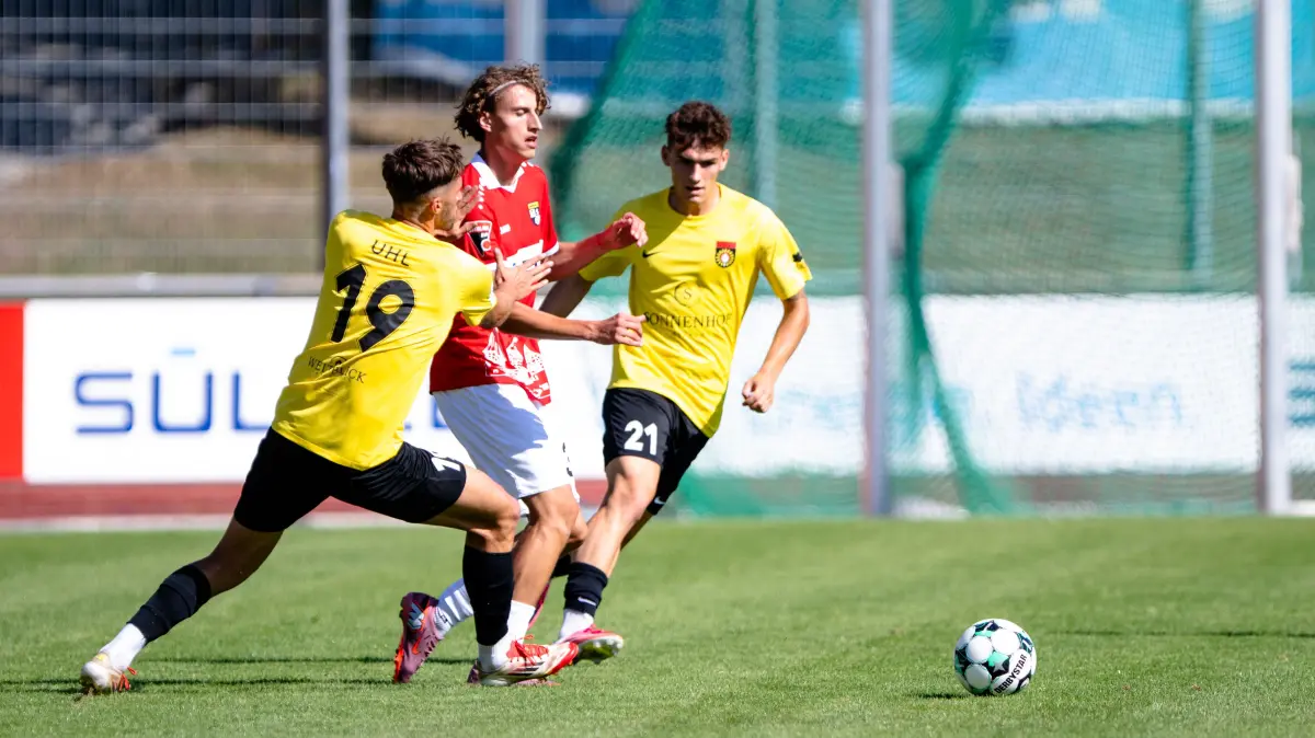 Henoch Grauer
