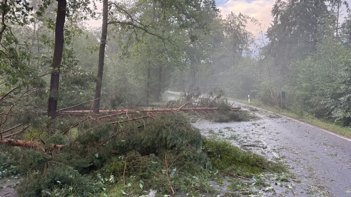 Unwetter in Erlangen: 14.07.2026, Bayern, Erlangen: Entwurzelte Bäume und Äste liegen nach einem Gewitter auf einer Straße bei Erlangen. Foto: News5 / Ferdinand Merzbach/NEWS5/dpa +++ dpa-Bildfunk +++
