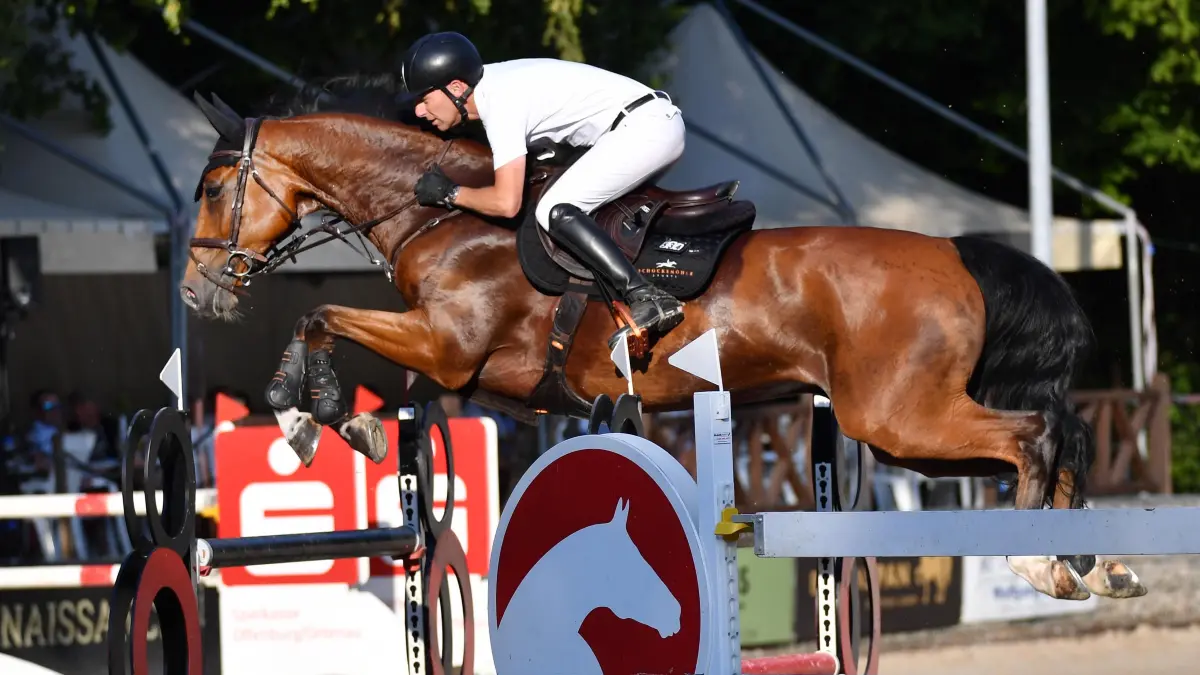 Timo Beck gehört zu den Top-Reitern, die bei der Landesmeisterschaft in Ichenheim ganz vorne landen wollen.