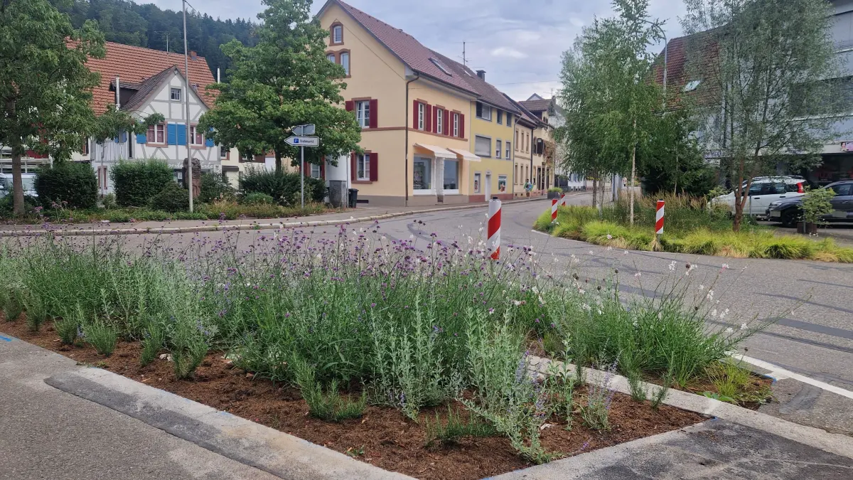 Pflanzen statt Asphalt: Die Neuerung in der Kranz-Kurve hat Fans und Kritiker.