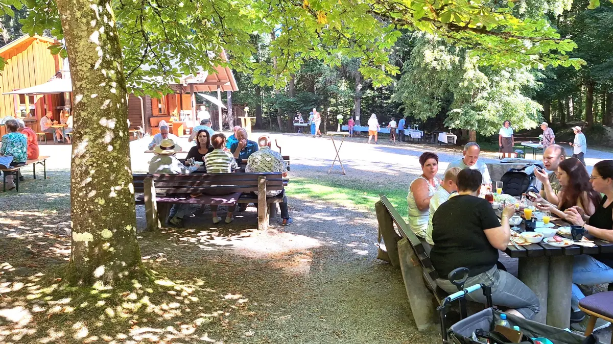 Die Gäste genießen das Waldfrühstück auf der Waldlichtung bei der Harzwaldhütte.