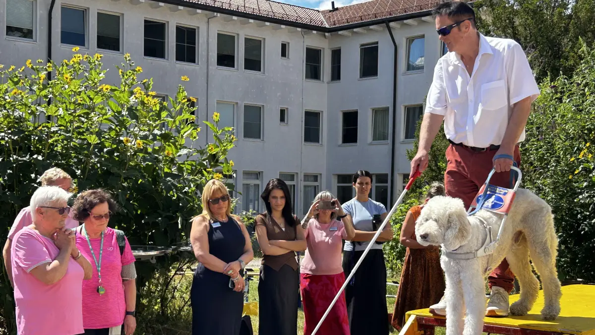 Blindenführhund Lando, ein Labradoodle, signalisiert seinem Herrchen Kurt Brei unmissverständlich, dass hier eine Stufe beginnt.