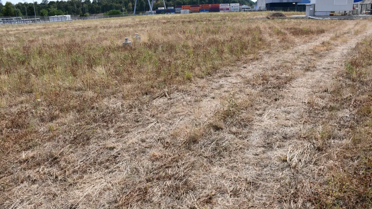 Auf dem Roche-Perimeter der Grenzacher Kesslergrube soll eine Freiflächen-Photovoltaikanlage gebaut werden. Geplant ist eine Zwischennutzung über einen Zeitraum von etwa 15 Jahren.