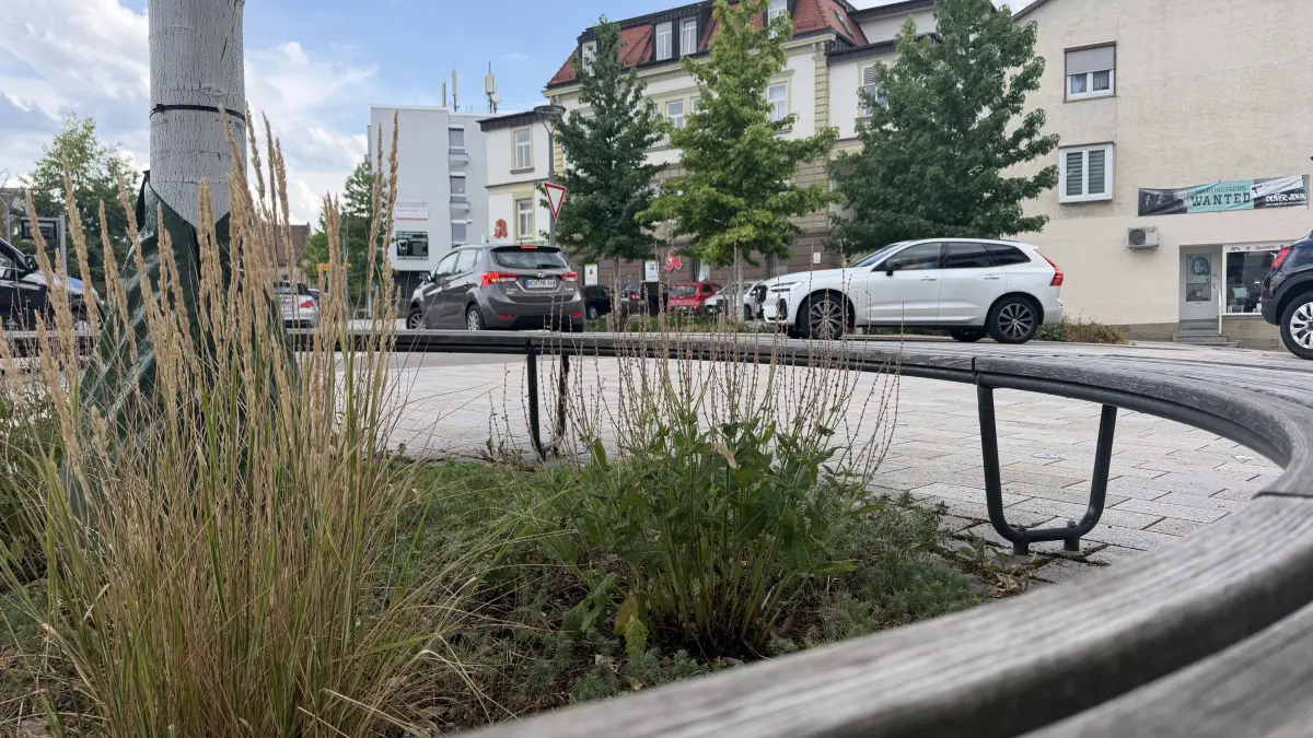 Die städtischen Grünflächen werden künftig nicht mehr so intensiv gepflegt.