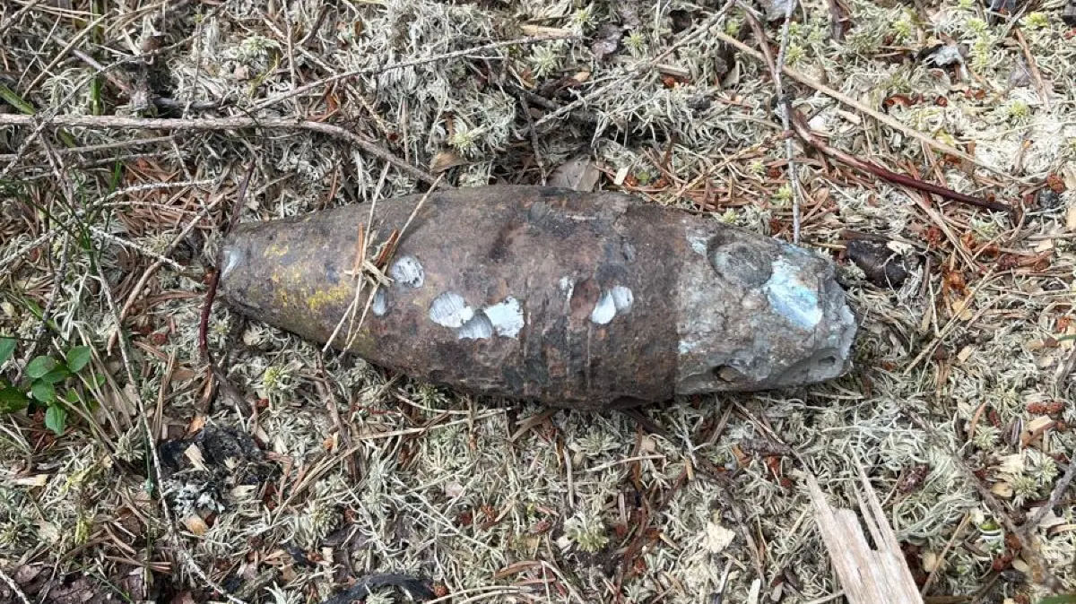 Diese sechs Zentimeter große amerikanische Wurfgranate wurde Anfang Juli in Neuweiler gefunden.
