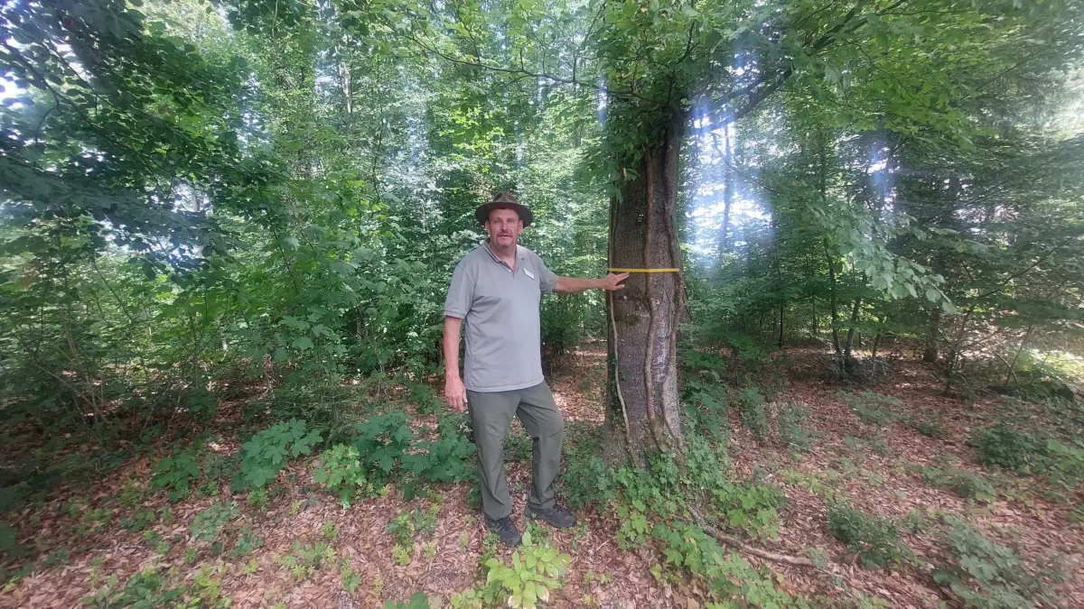 Die letzte Ruhe unter einem Baum mitten im Wald – das ist seit einem Jahr im FriedWald Starzach möglich. Wer hier für sich oder einen Angehörigen ein Baumgrab sucht, wird von FriedWald-Förster Frank Schmitt begleitet.
