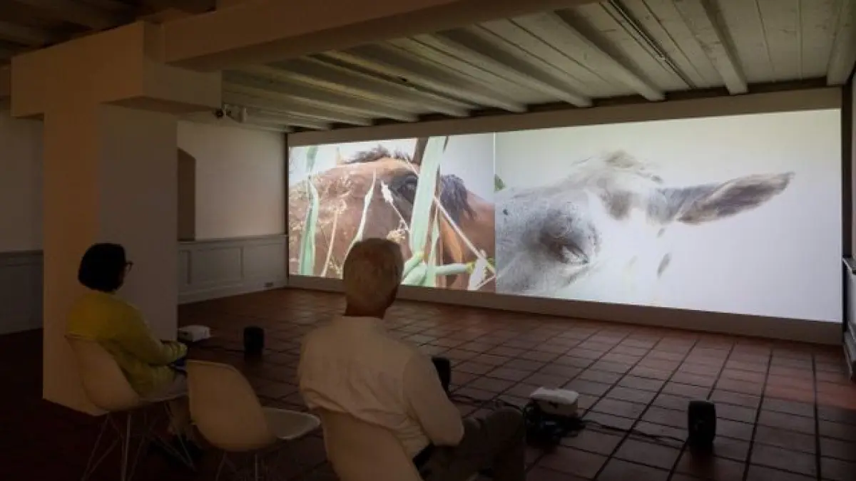 Ausstellungsansicht mit der Videoprojektion "Koppeln" von Heiner Franzen.