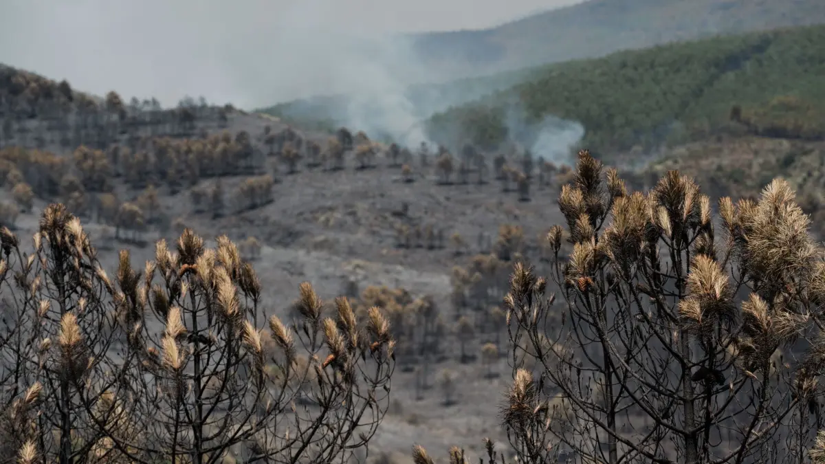 Waldbrände in Spanien