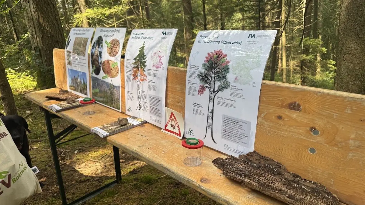 Tausende erleben in Lauterbach-Sulzbach den Erlebnistag Landwirtschaft.