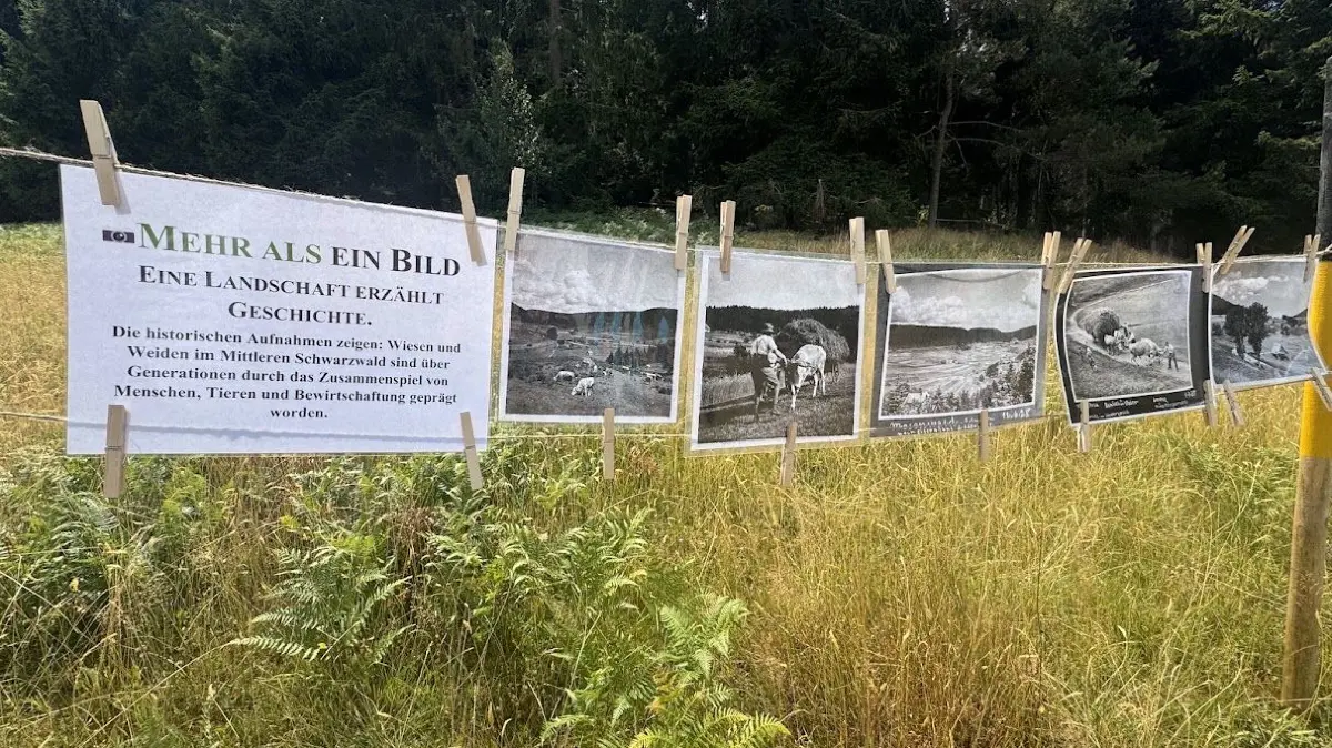Tausende erleben in Lauterbach-Sulzbach den Erlebnistag Landwirtschaft.