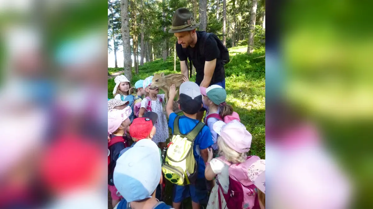 Die Kinder lernen die Tiere des Waldes kennen.