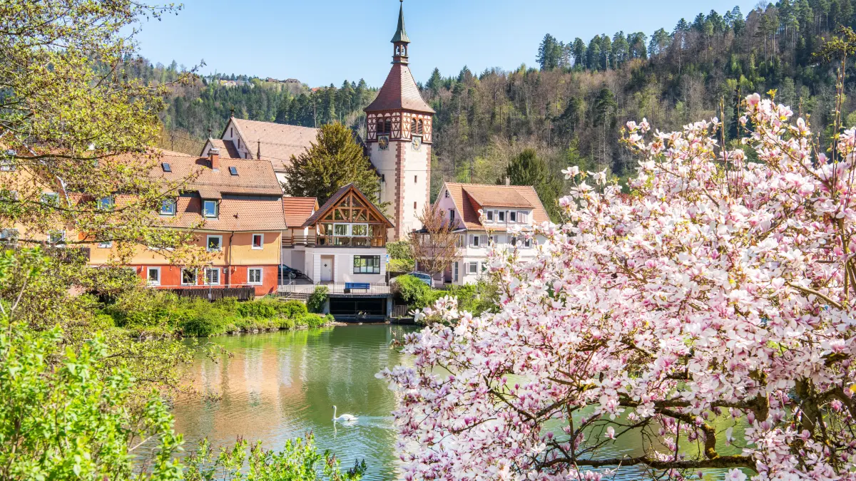 Der Stadtsee in Bad Liebenzell lädt zu einem Spaziergang ein.
