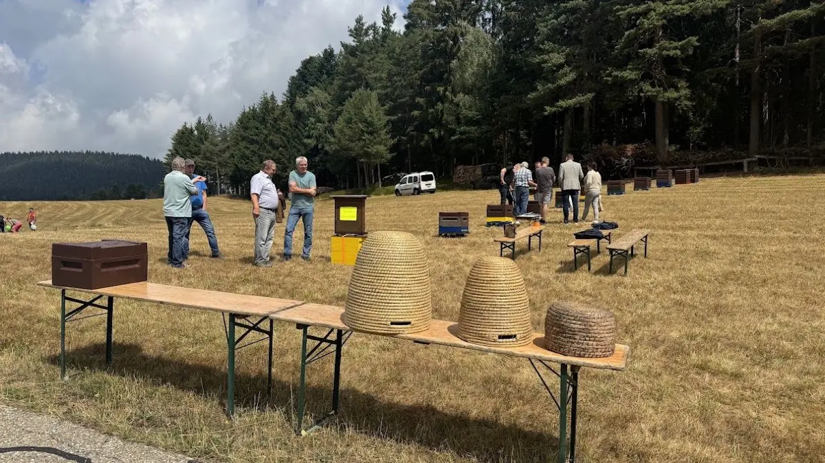 Tausende erleben in Lauterbach-Sulzbach den Erlebnistag Landwirtschaft.
