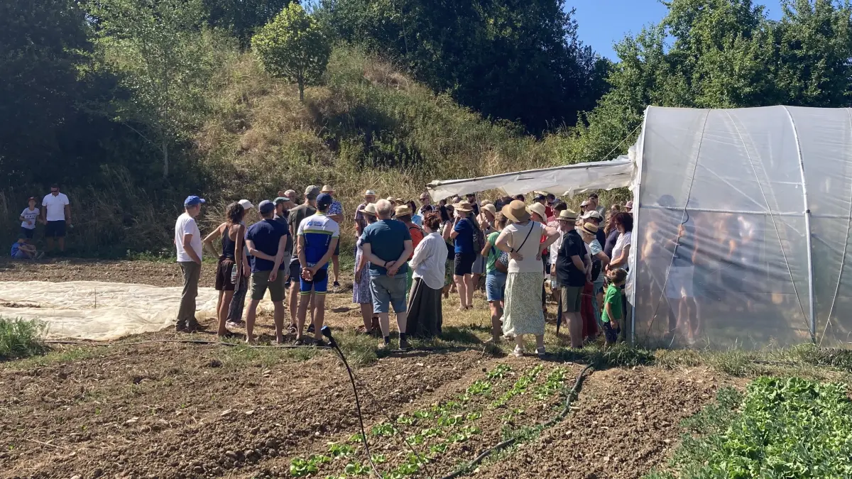 Bei bestem Sommerwetter feierten Mitglieder und Gäste das traditionelle Hoffest der Ackernative auf dem Biokleinhof Ohnmacht in Fluorn-Winzeln. Neben Hofführungen und Kinderaktionen standen Gemeinschaft, regionale Lebensmittel und der Austausch rund um die Solidarische Landwirtschaft im Mittelpunkt.