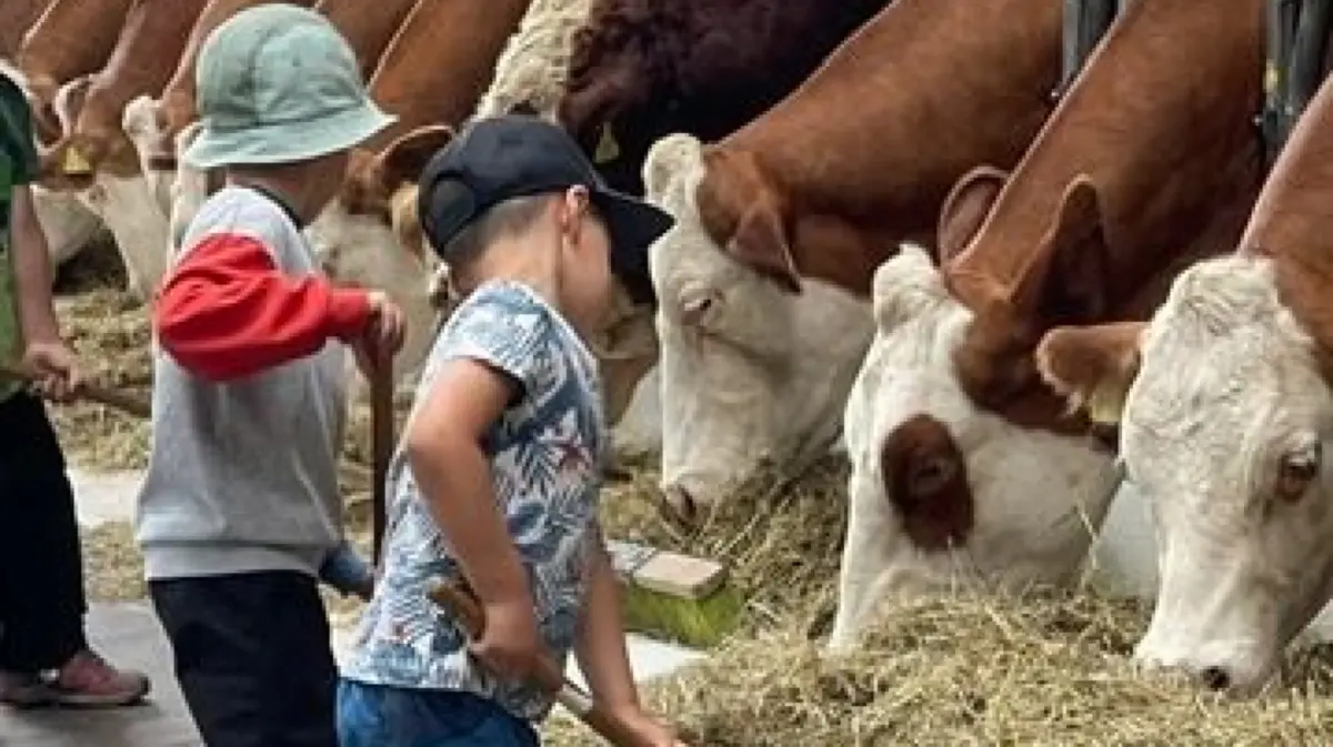 Die Kinder beim Füttern der Kühe.