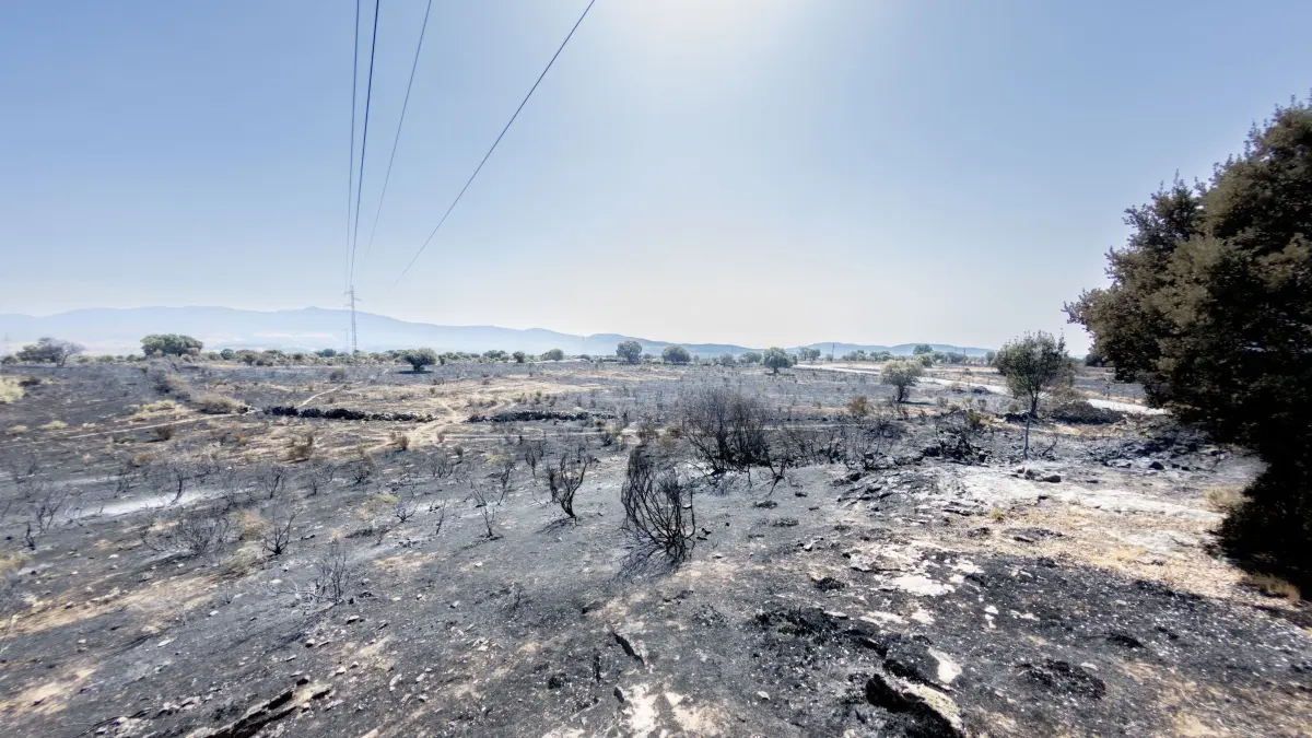 Waldbrände in Spanien
