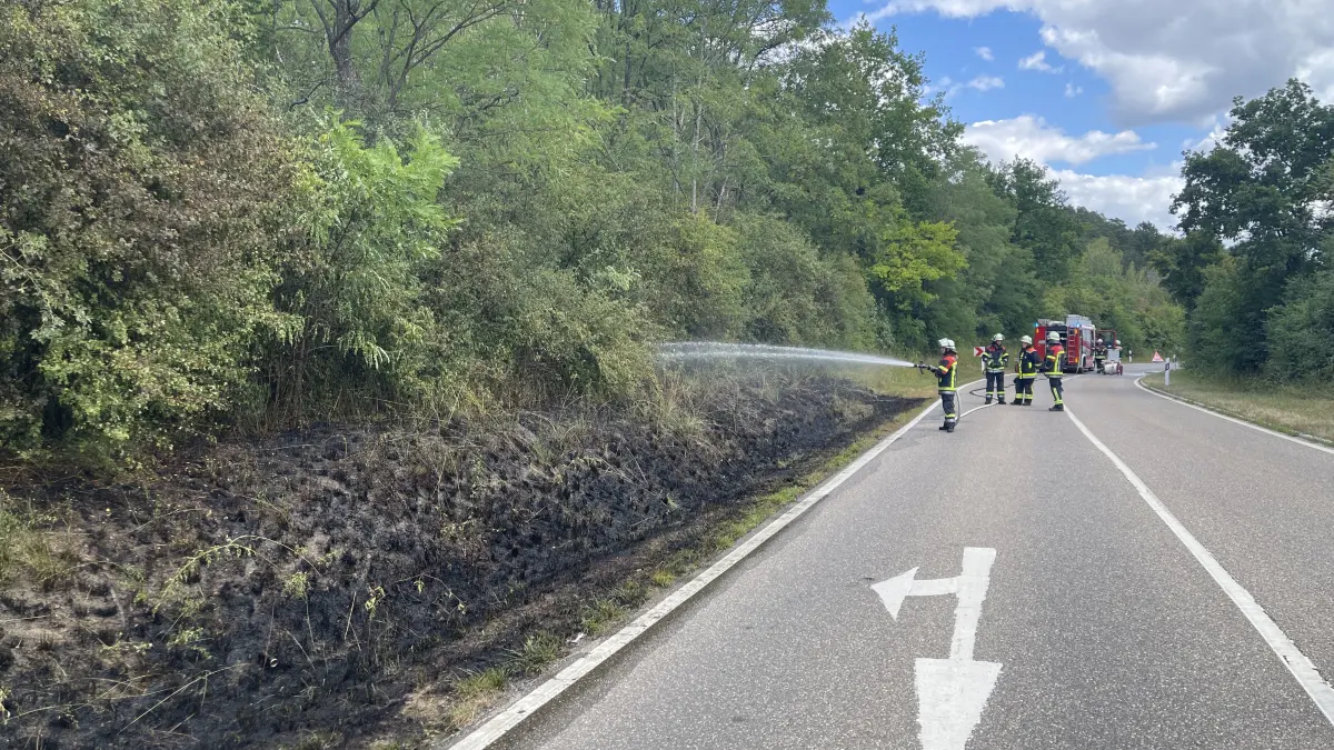 Vegetationsbrand an der L183 zwischen Grafenau-Dätzingen und Ostelsheim