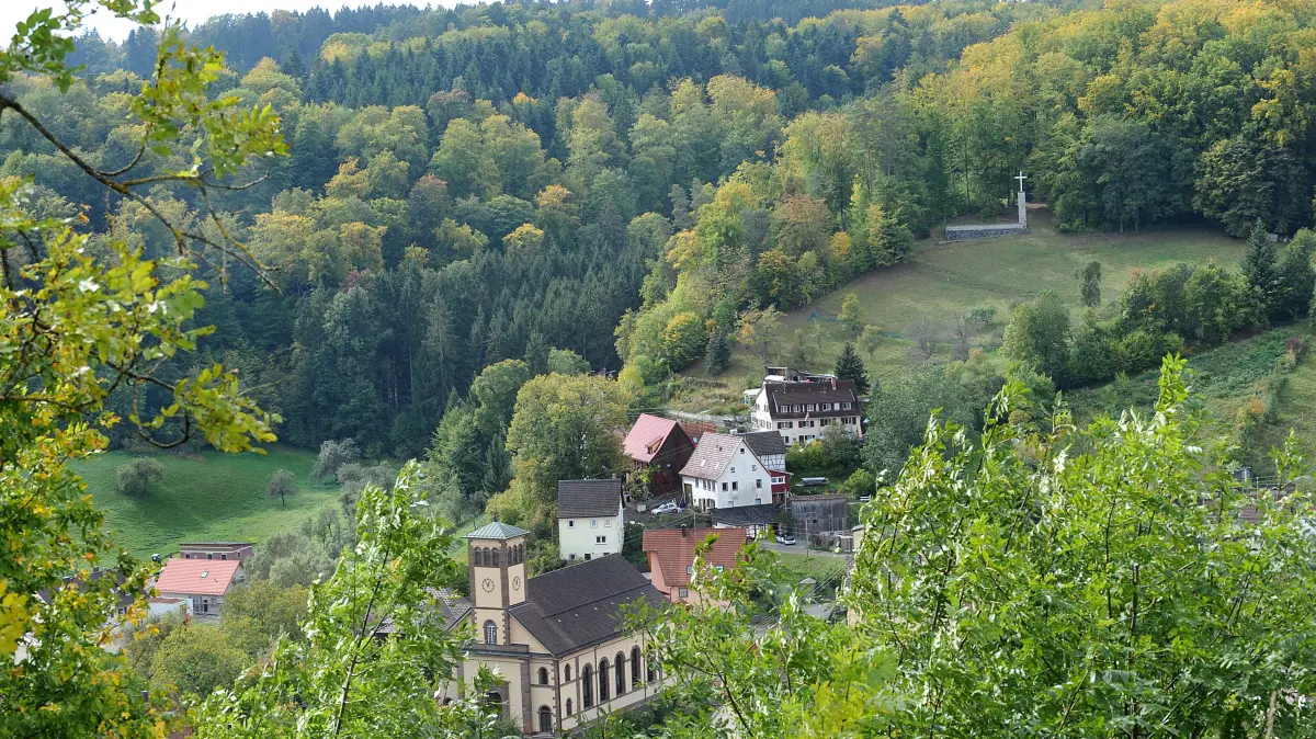 Der Wald oberhalb von Rexingen galt als möglicher Windkraftstandort. Wird er das jemals?